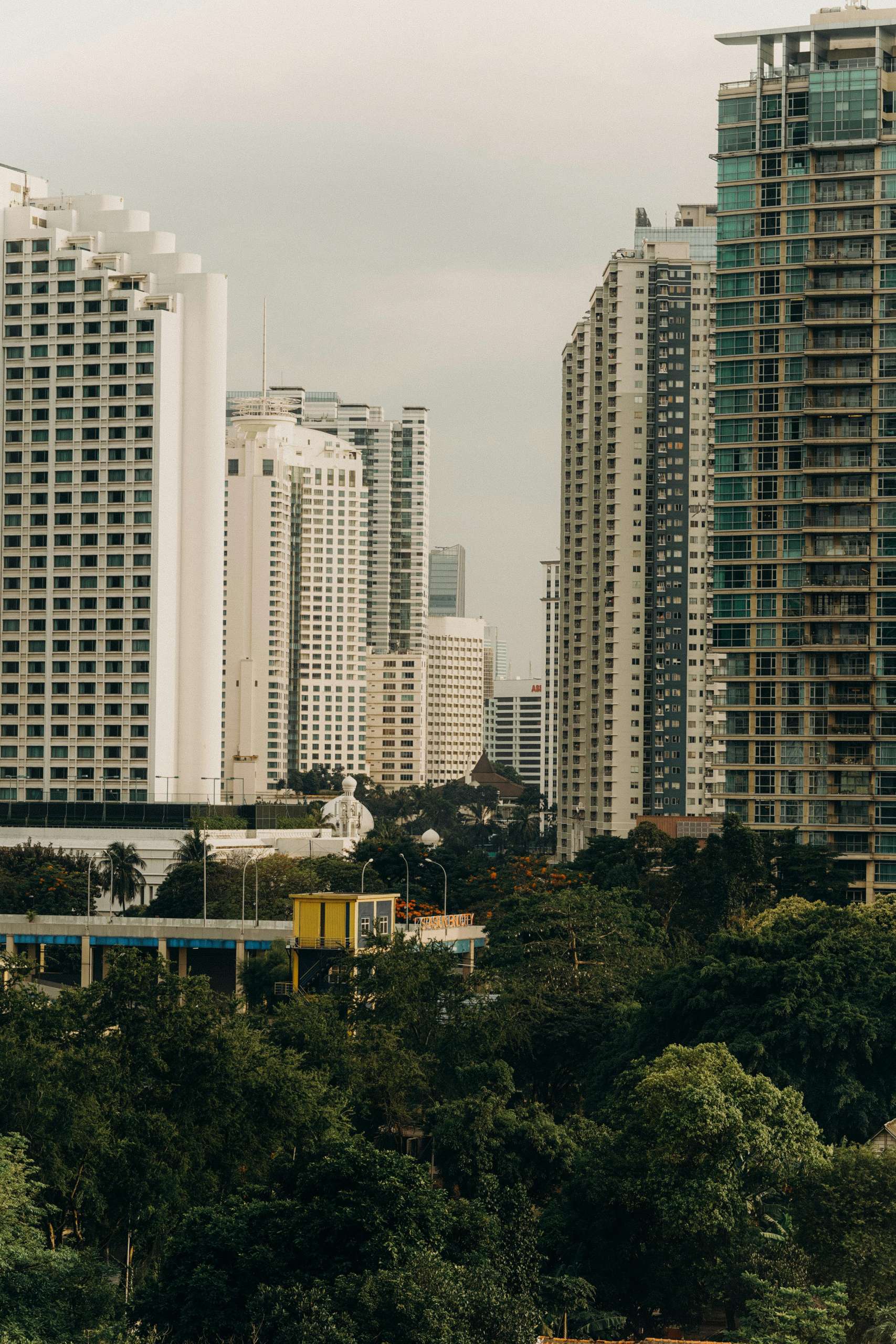 pexels pamanjoe 14270540