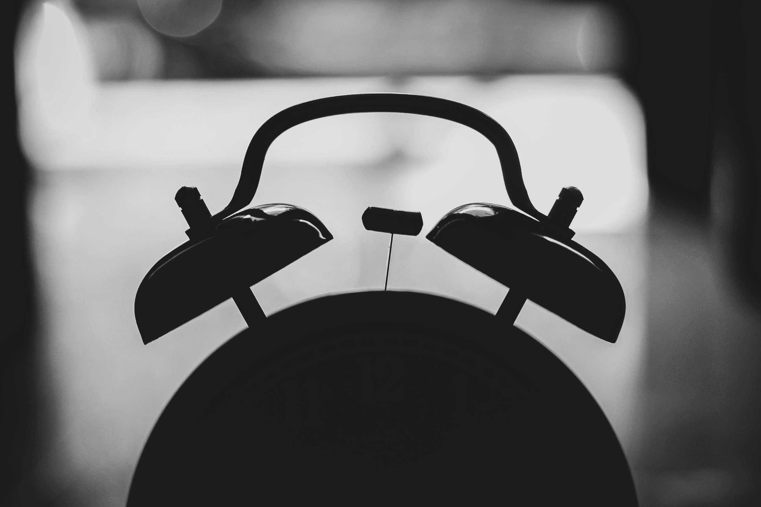 pexels reynaldoyodia 13419719