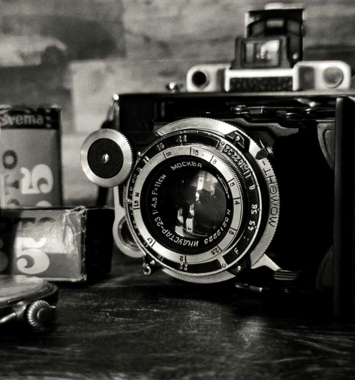 pexels anna s 92808785 9157497