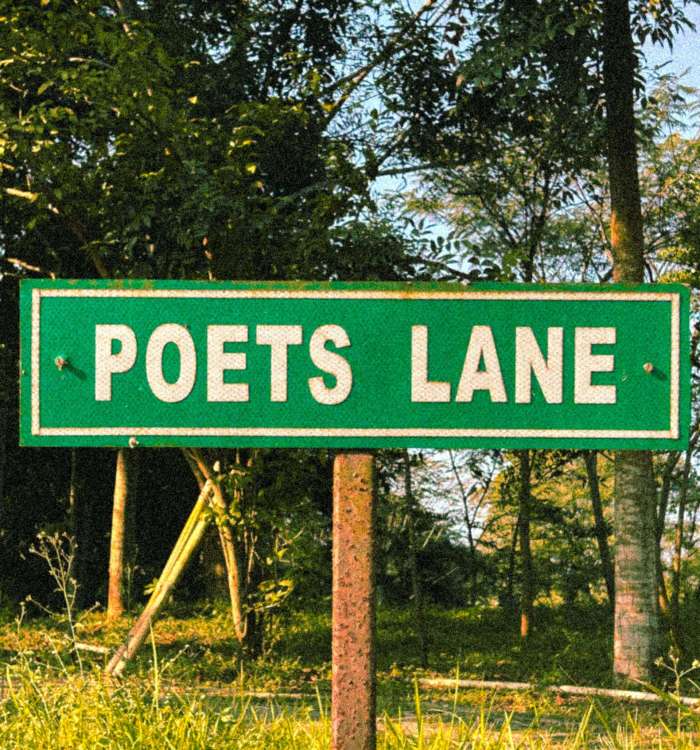 pexels nishantdas 29526591