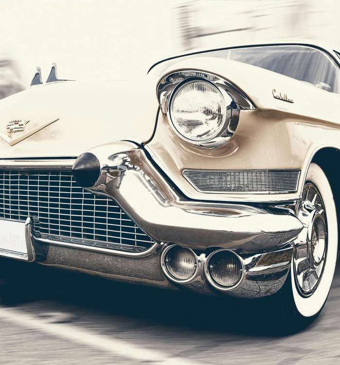 pexels pixabay 35624